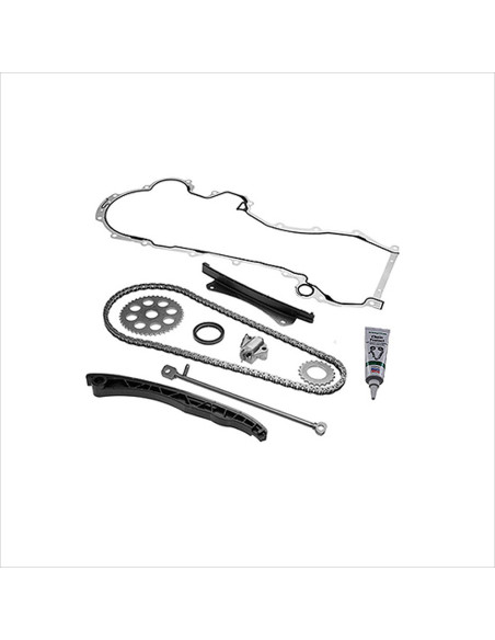INA KIT DISTRIBUZIONE CATENA MJET 9PZ 559002730